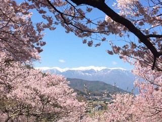 早春の中央アルプス