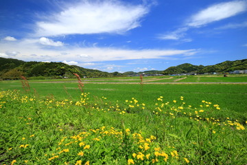 田舎の風景　宮崎県日南市