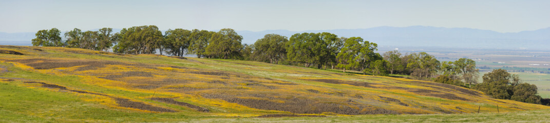 Fototapeta premium North Table Mountain Ecological Reserve, Oroville, California. An elevated basalt mesa with beautiful vistas of spring wildflowers, waterfalls, lava outcrops and a rare type of vernal pool.