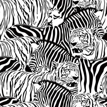 Tiger and zebra seamless pattern. Wild life animals. Black and white texture. Illustration