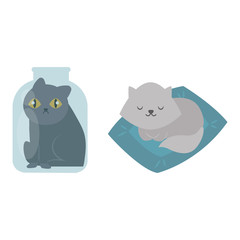 Obraz premium Cute cats character different pose funny animal domestic kitten vector illustration.