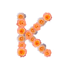 The letter K, in the Alphabet bloom roses illustration set old rose pink color isolated on white background, vector eps10