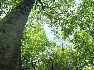 磐梯朝日国立公園