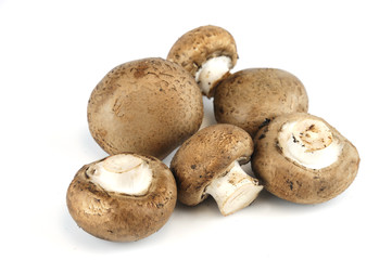 fresh mushroom isolated on white background