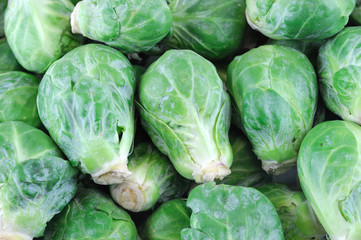 Fototapeta premium fresh brussel sprout vegetable as food background