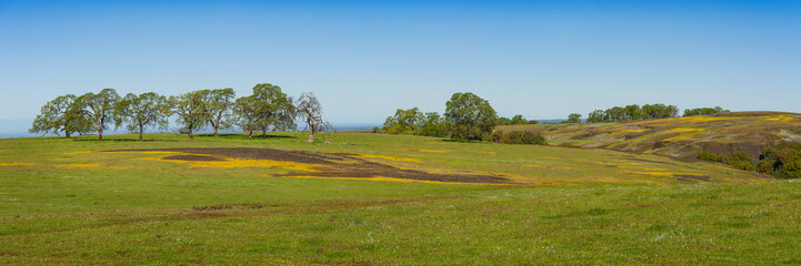 North Table Mountain Ecological Reserve, Oroville, California. An elevated basalt mesa with beautiful vistas of spring wildflowers, waterfalls, lava outcrops and a rare type of vernal pool.
