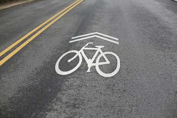 Bicycle Friendly Street Sign Painted on Wet Pavement