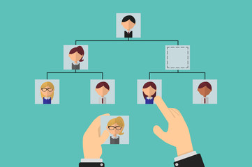 Organizational tree, election of staff to fill vacancies