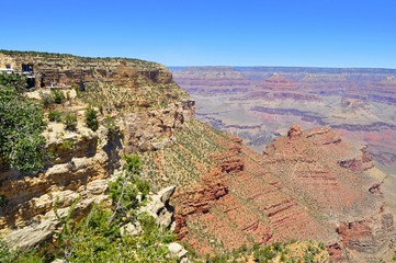 Grand Canyon View