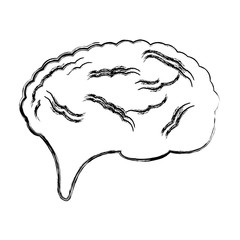 Human brain symbol icon vector illustration graphic design