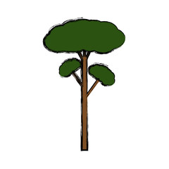 Fototapeta premium Tree natural ecology icon vector illustration graphic design