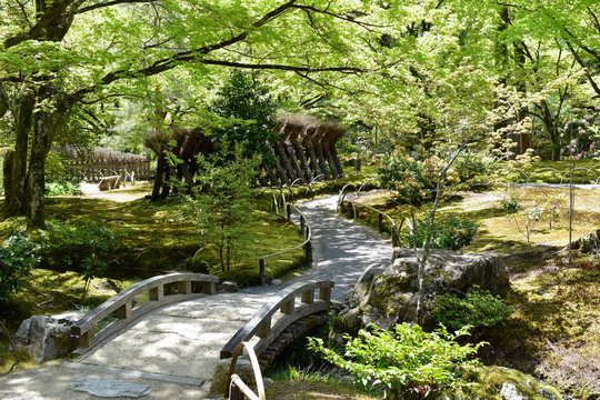 新緑に囲まれた日本庭園