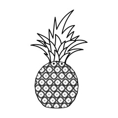 Delicious pineapple fruit icon vector illustration graphic design