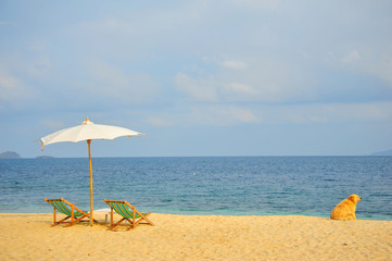 Beach Chairs on Summer Beach 
