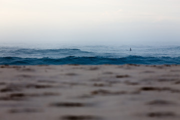 A Lone Surfer Shrouded in Sea Fog
