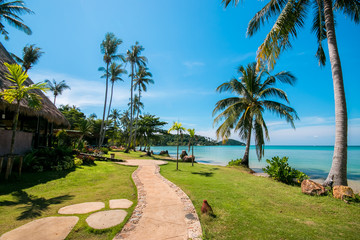 Tropical beach with coconut palms at Thailand Summer Season