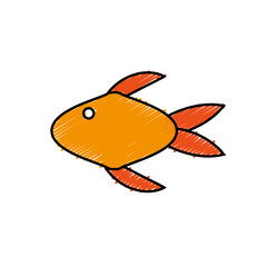 fish icon over white background. vector illustration