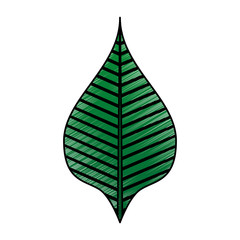 leaf plant decorative isolated icon vector illustration design