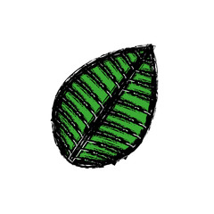 leaf icon over white background. vector illustration