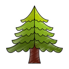 merry christmas pine tree vector illustration design