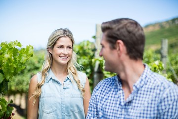 Fototapeta premium Smiling woman looking at man in vineyard