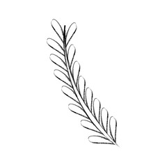 leafs christmas decoration icon vector illustration design