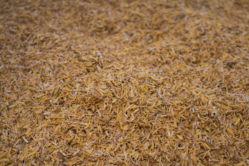 Husk close up background.
