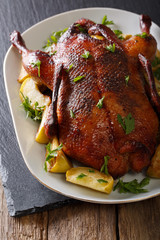 Baked duck with apples close-up on a plate. vertical