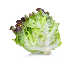 red oak lettuce isolated on white background