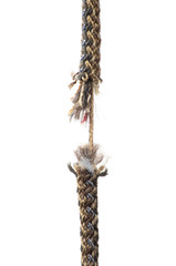 ropes on white background