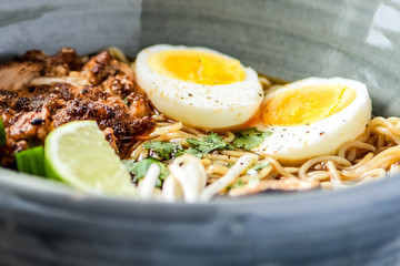 bowl of chicken ramen noodles with hard boiled egg, cilantro and bean sprouts