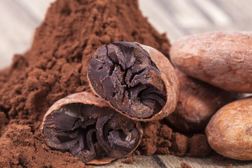 Cocoa beans and powder on wooden plank.