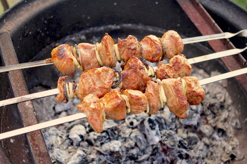 Tasty pork barbecue outdoors on ashes