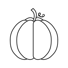 pumpkin thanksgiving isolated icon vector illustration design