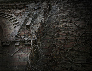 Dark Gothic Vine Covered Wall