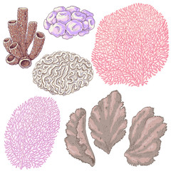 Naklejka premium Colored Corals Set