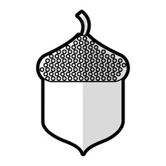oak seed isolated icon vector illustration design