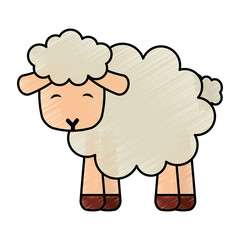 cute sheep manger character vector illustration design