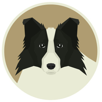 Dog collection Border Collie Geometric style Avatar icon round