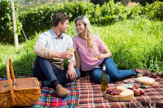 Happy couple holding wineglasses on picnic blanket