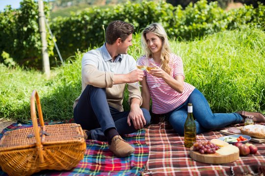 Happy couple toasting wineglasses on picnic blanket