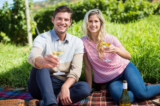 Portrait of happy couple holding wineglasses on picnic blanket