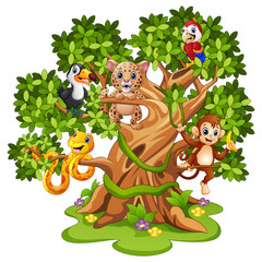 Wild animals cartoon on the trees