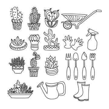 Gardening Cactus Doodle with variation style 

