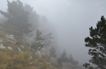 Fog over the rocks of Ai Petri