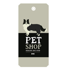 Poster Pet Shop Design label Border Collie Geometric style