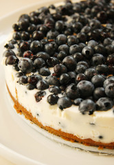 Blueberry cheesecake with cream on white platter