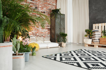 Room with plant decor