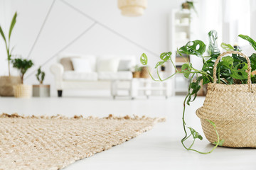 Wicker carpet and flowerpot