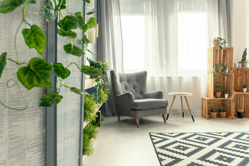 Armchair by the window